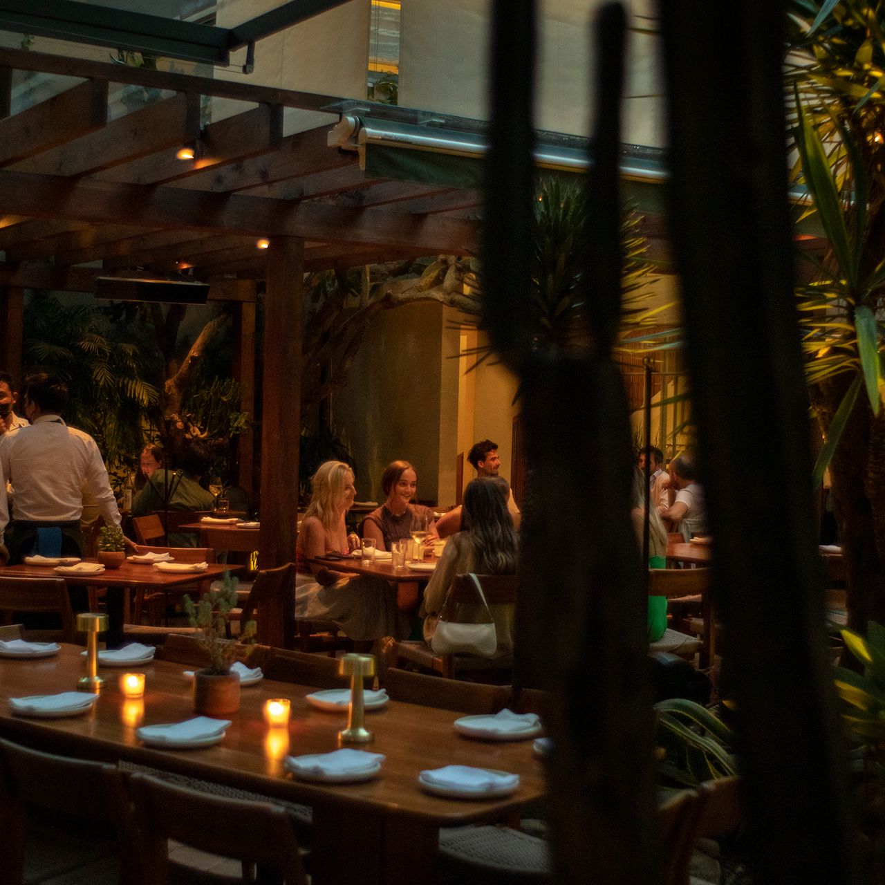 BOTANICO Restaurant - Ciudad de México, CDMX | OpenTable