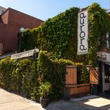 Cover image for Aurora - Williamsburg