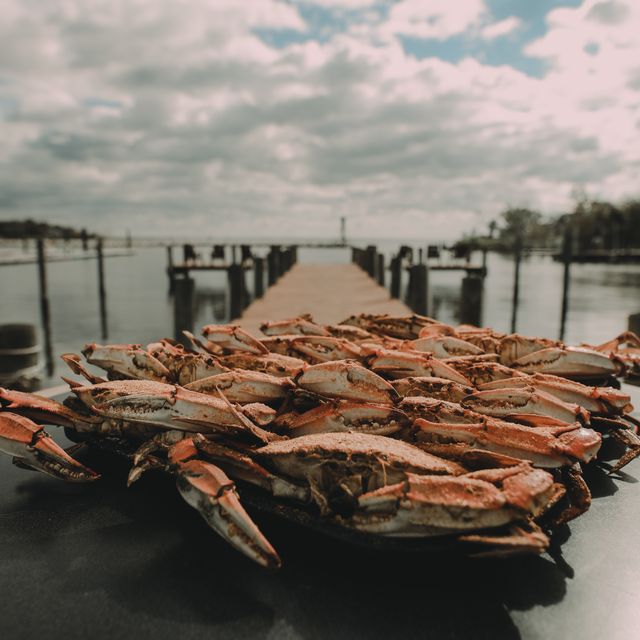 Dock of the Bay Restaurant Sparrows Point, MD OpenTable