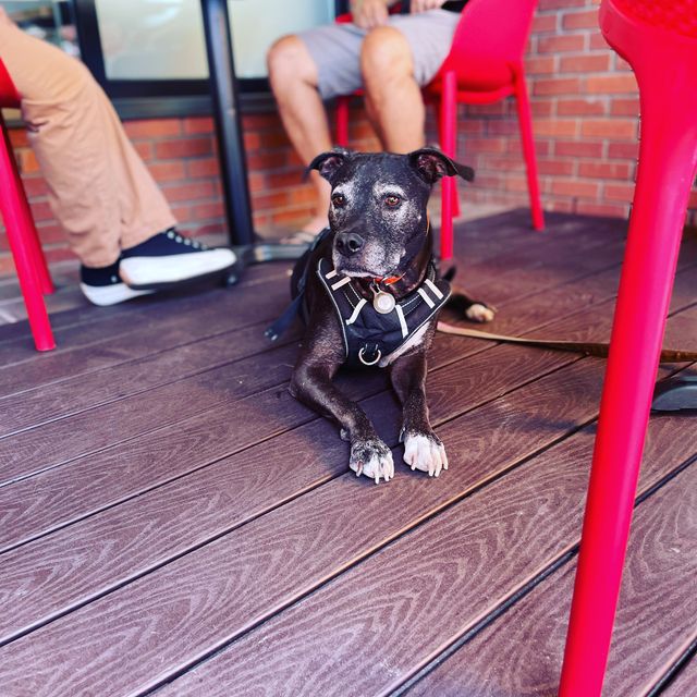 The Wine Collective of Scottsdale Restaurant Scottsdale, AZ OpenTable