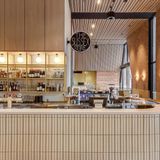 Cover image for The Sussex Store