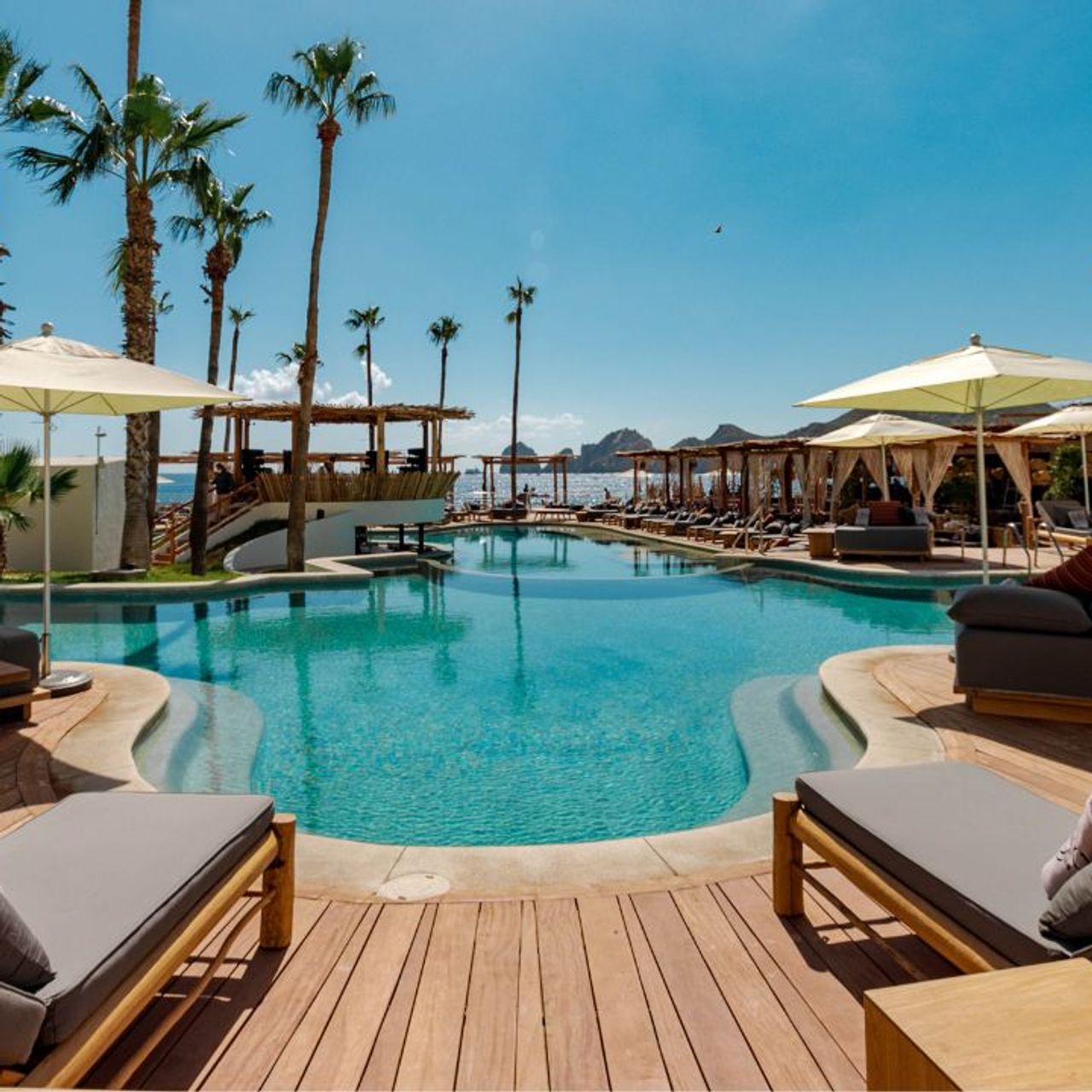 Taboo Cabo - Updated 2024, Mediterranean Restaurant in Cabo San Lucas, BCS