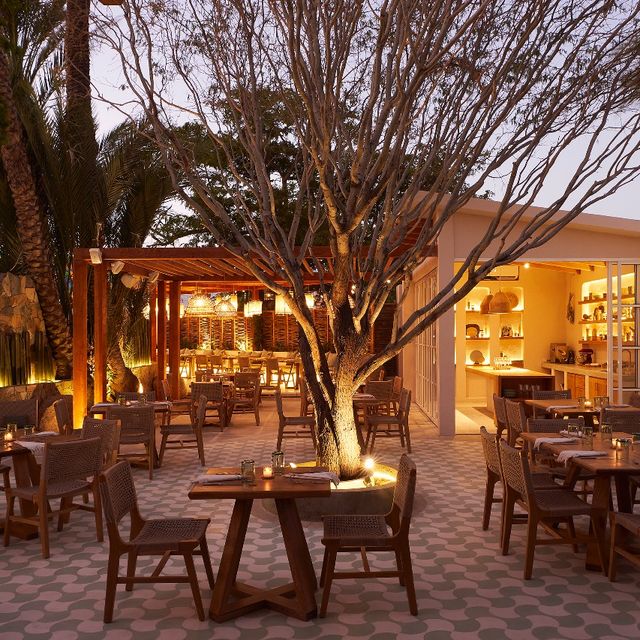 Restaurante SAGE San José del Cabo, BCS OpenTable