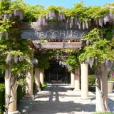 Cover image for Bacchus Restaurant and Wine Bar