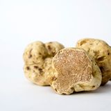 White truffle dinner Photo