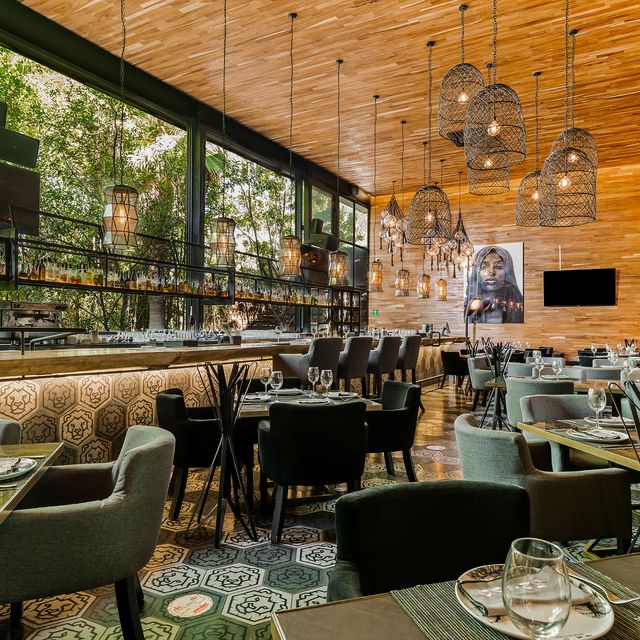 Restaurante 5260 Open Kitchen Top Rated Restaurant in Querétaro, QUE