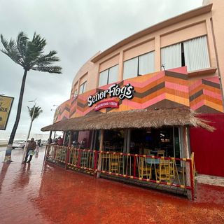 Señor Frog´s - Cozumel - Punta Langosta