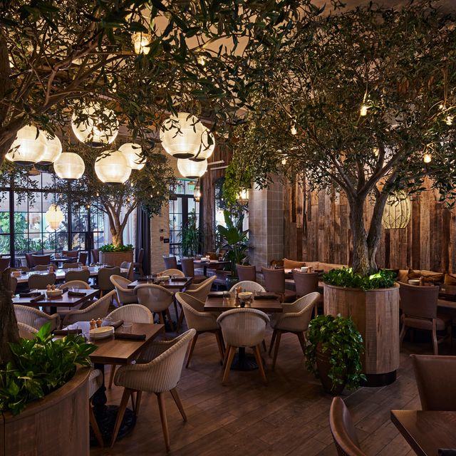 Aba Miami Bal Harbour Restaurant Bal Harbour, FL OpenTable