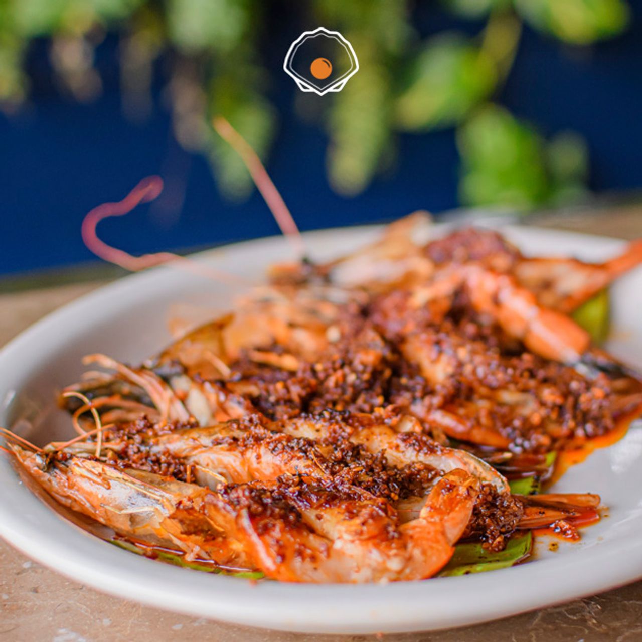 Introducir 71+ imagen la perla oyster bar xalapa Viaterra.mx