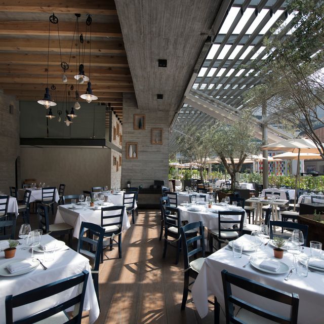 Restaurante Nostos Artz Pedregal Ciudad de México, CDMX OpenTable