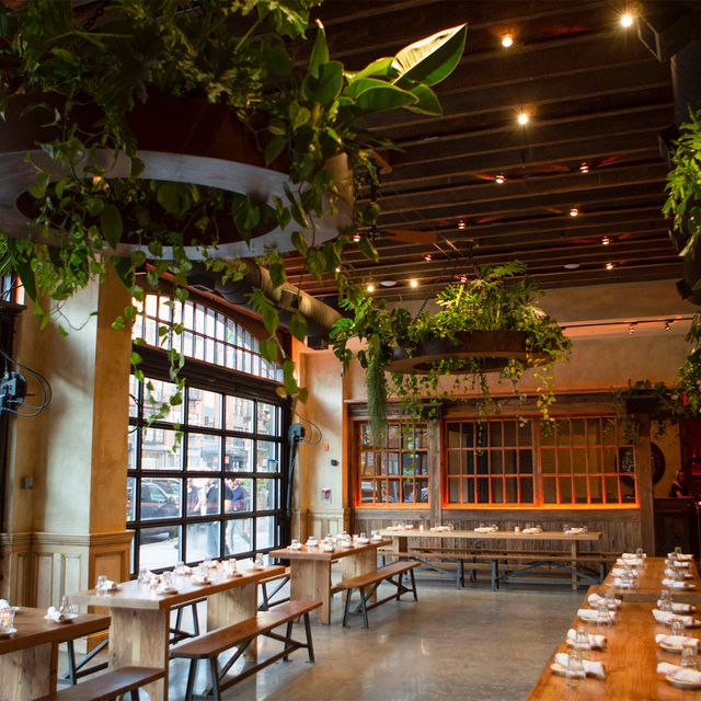 CinderJulep review photo 7