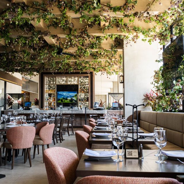 El Gaucho Arboleda Restaurant San Pedro Garza García, NLE OpenTable