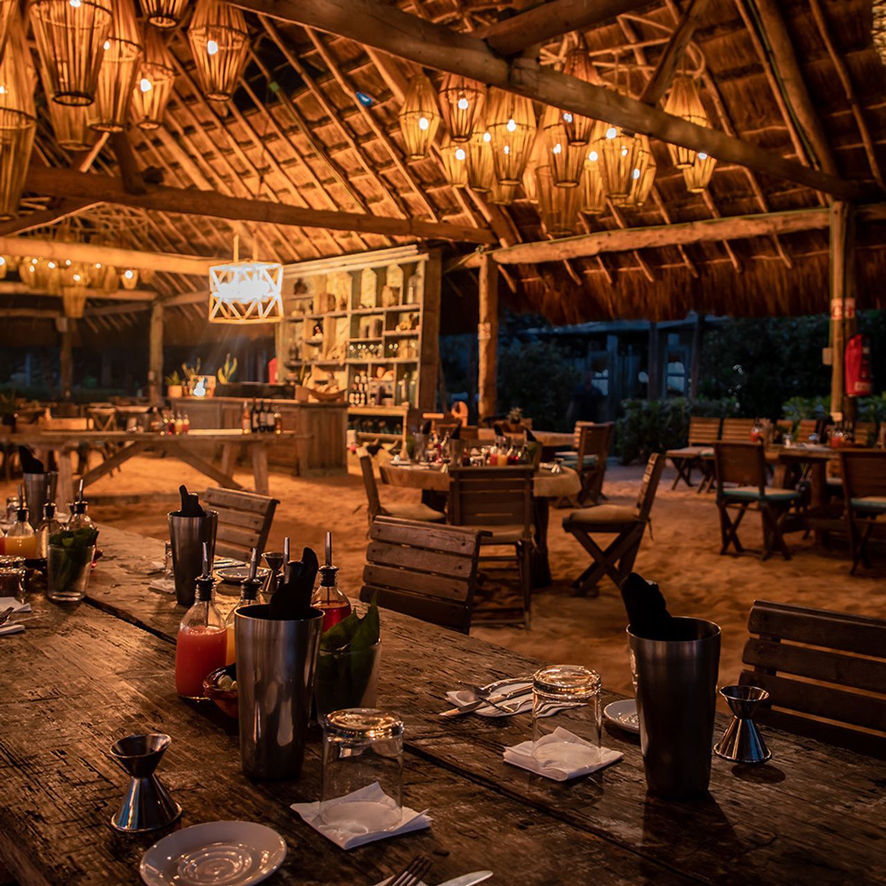 Traveler's Table Playa del Carmen: A Culinary Journey Awaits