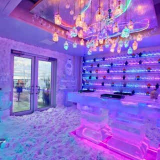 Crystal Head Vodka Ice Bar Experience