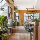 Cover image for Earls Kitchen + Bar - Robson - Vancouver