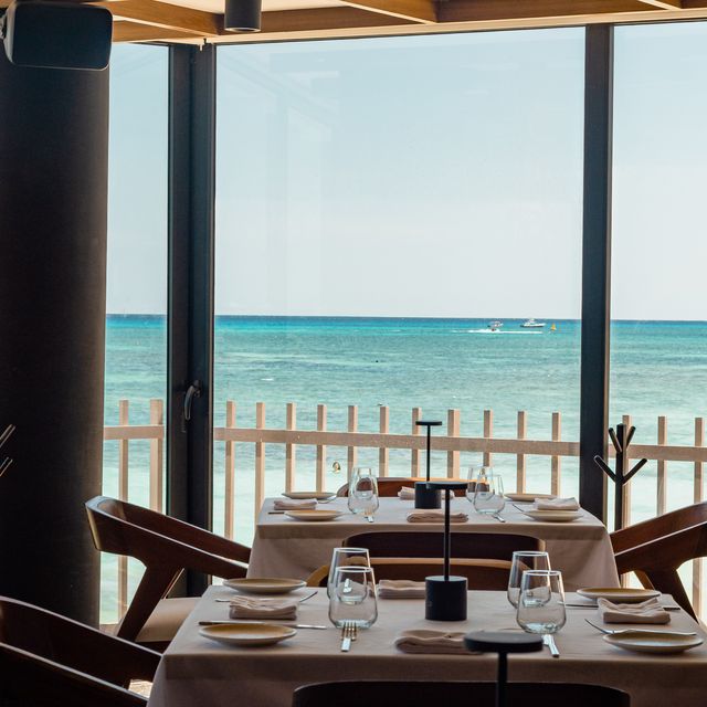 Piaggia Playa Del Carmen Restaurant Playa Del Carmen Roo Opentable