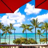 Mother's Day Specialty Brunch Buffet - Adult Price Foto