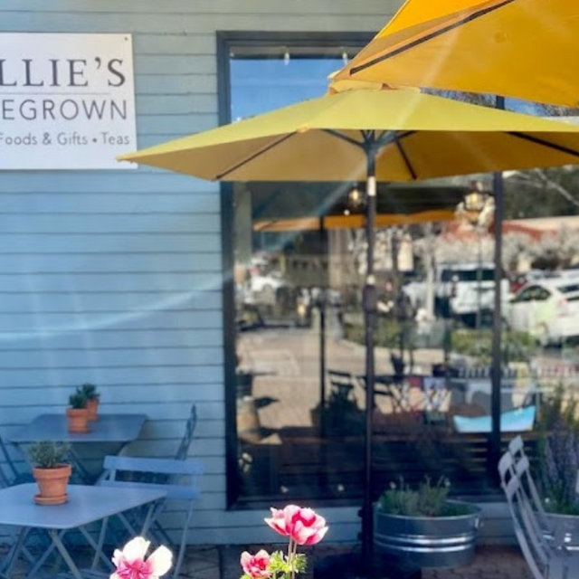 Hollie's Homegrown Updated 2024, Wine Bar in Lafayette, CA