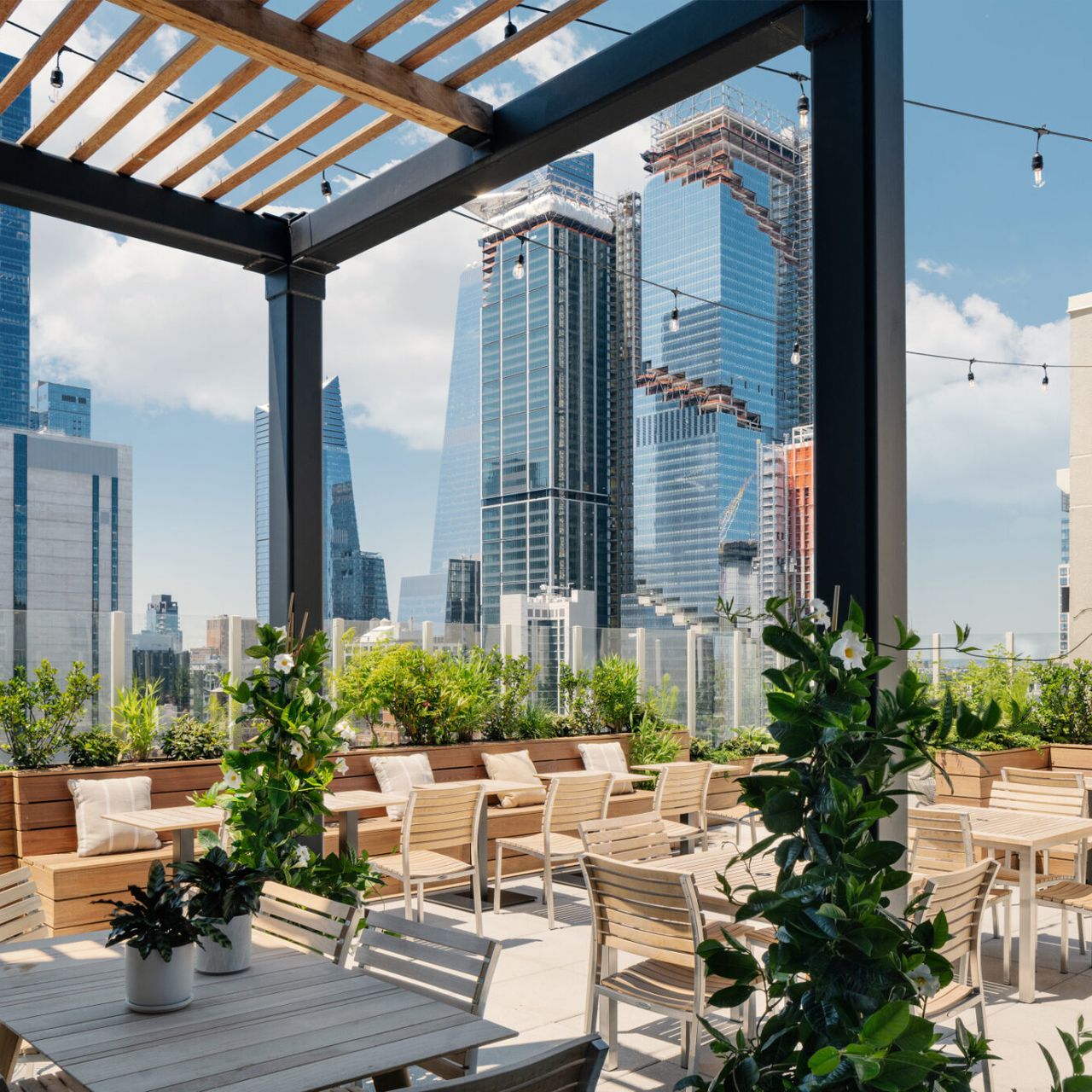 Arlo Rooftop