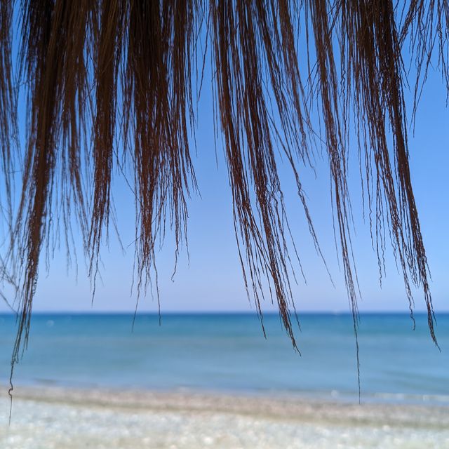 Plage Du Soleil Restaurant Limassol, Limassol OpenTable