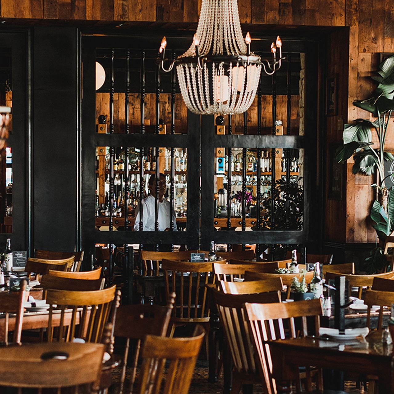 【楽天最安値に挑戦】 Bodega 8 OpenTable | BCN Tijuana, - Restaurant Tijuana - その他