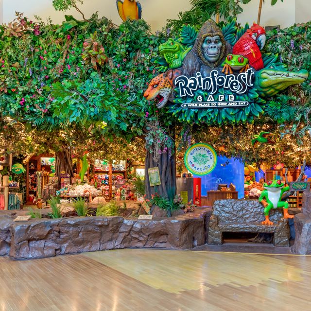 Rainforest Cafe - Grapevine Mills Restaurant - Grapevine, TX | OpenTable