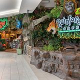 Cover image for Rainforest Cafe - Mall Of America