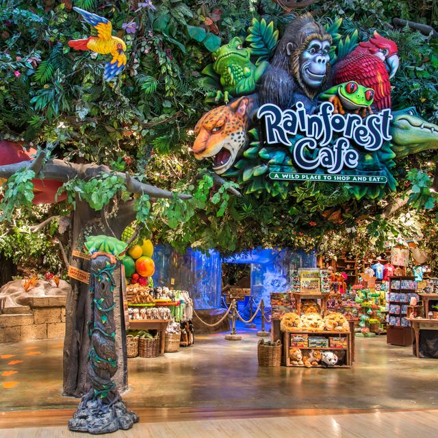 Rainforest Cafe Ontario Mills Restaurant Ontario Ca Opentable 0764