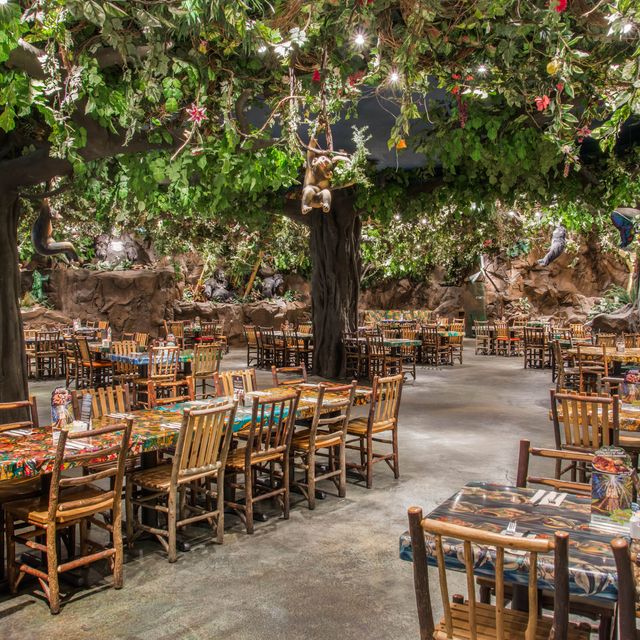 Rainforest Cafe - Ontario Mills Restaurant - Ontario, , CA | OpenTable