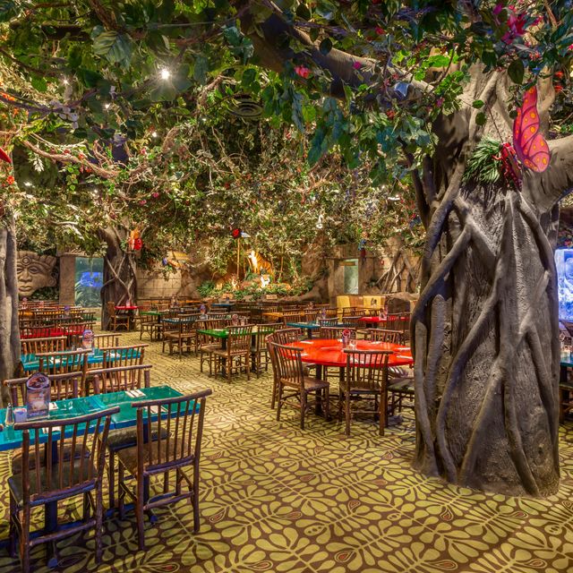 leopard in waiting - Picture of Rainforest Cafe, Orlando - Tripadvisor
