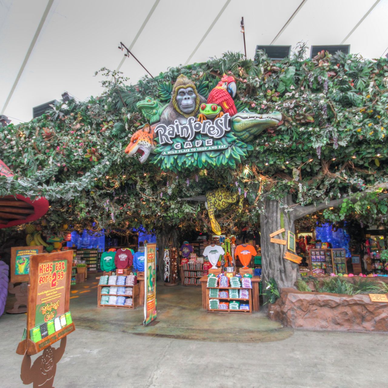 Rainforest Cafe - Sawgrass Mills (Ft. Lauderdale) Restaurant