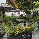 Cover image for 211 Clover Lane Restaurant