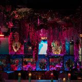 Cover image for Cantina Tequila
