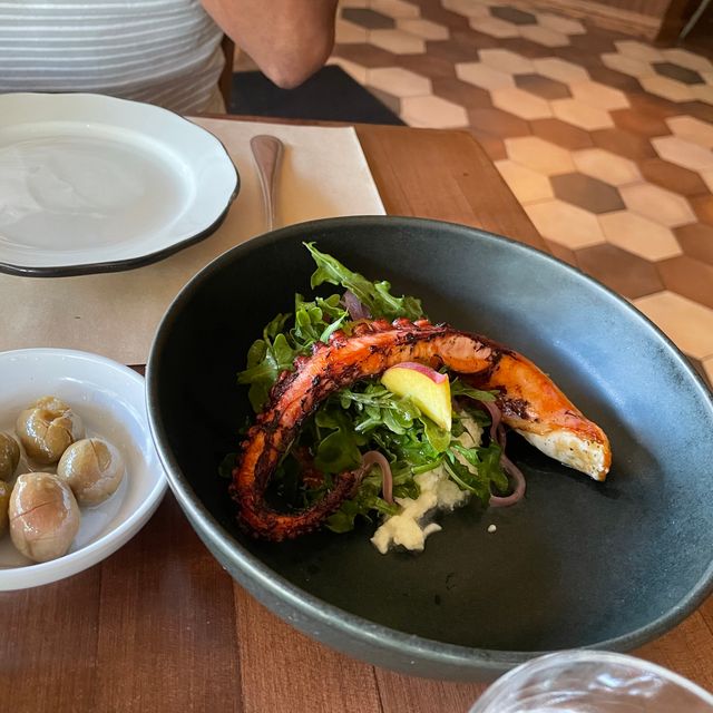 Cori Pastificio Trattoria Restaurant San Diego, CA OpenTable