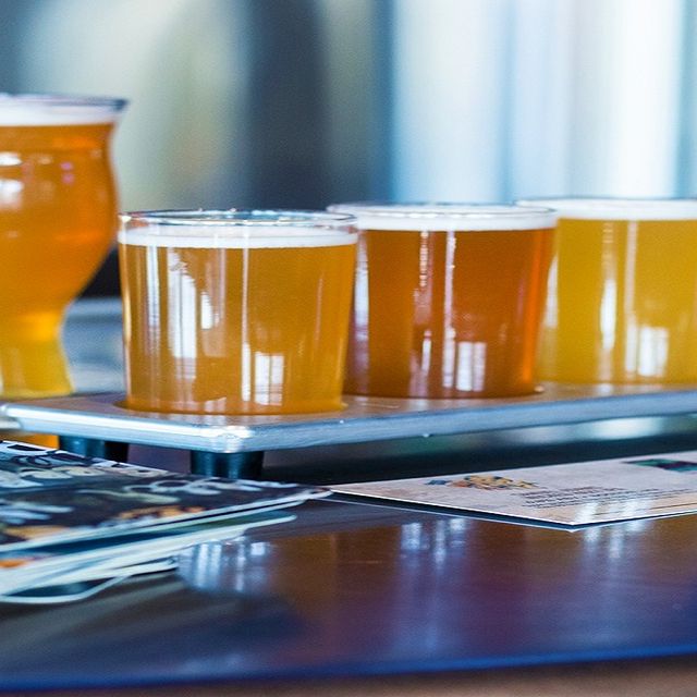 Yard House Troy Restaurant Troy, MI OpenTable