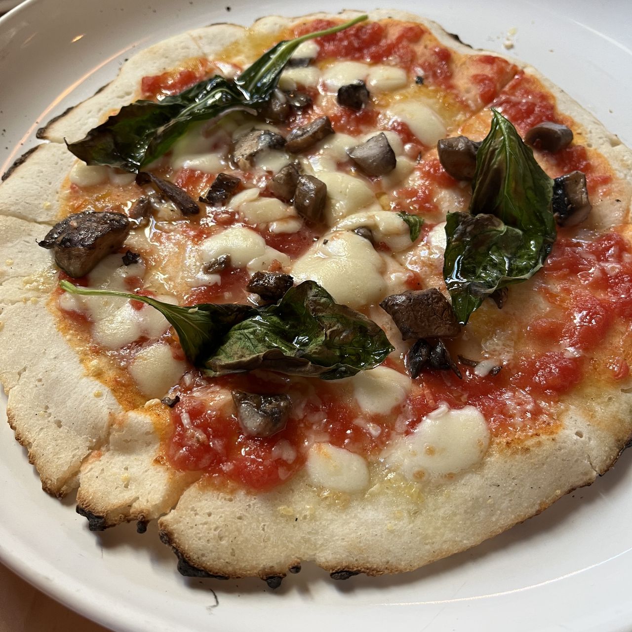 Piatto Pizza - The Americana (San Marzano tomato, Fior di latte mozzar