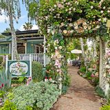 Cover image for The Tea House on Los Rios