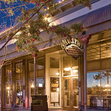 Cover image for Murphy's