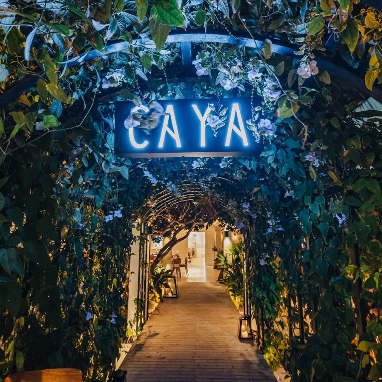 Restaurant CAYA House Aruba Noord Aruba OpenTable