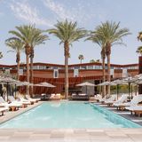Cover image for Palm Canyon Swim & Social