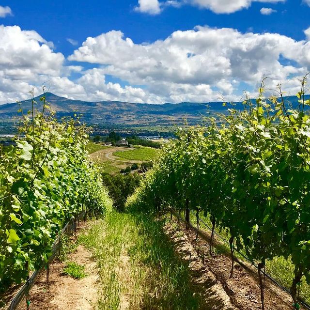 Parkhurst Wine Cellars Updated 2024, Winery in Jacksonville, OR