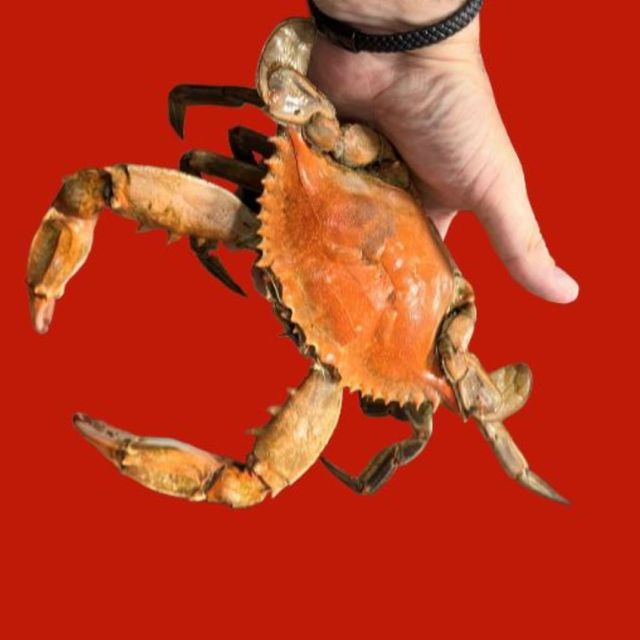 Poché's Seafood Shoppe & Restaurant College Station, TX OpenTable