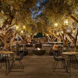 Cover image for Grapefruit Basil  Tommy Bahama Miramonte Indian Wells