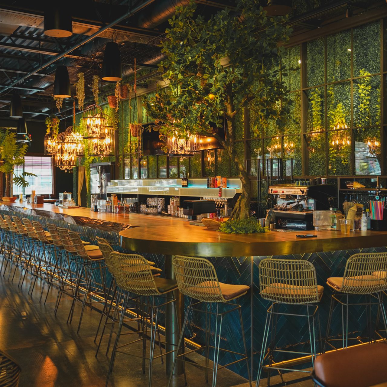 The Cage Cocktail Bar Restaurant - Norristown, PA | OpenTable