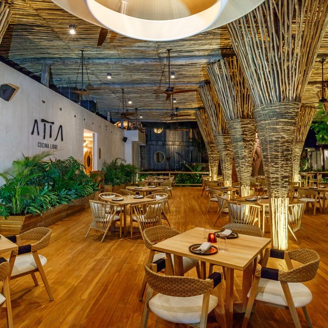 Atta Restaurant & Cenote Club Tulum, ROO OpenTable